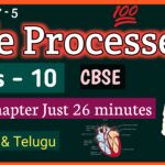 Life processes class 10th science